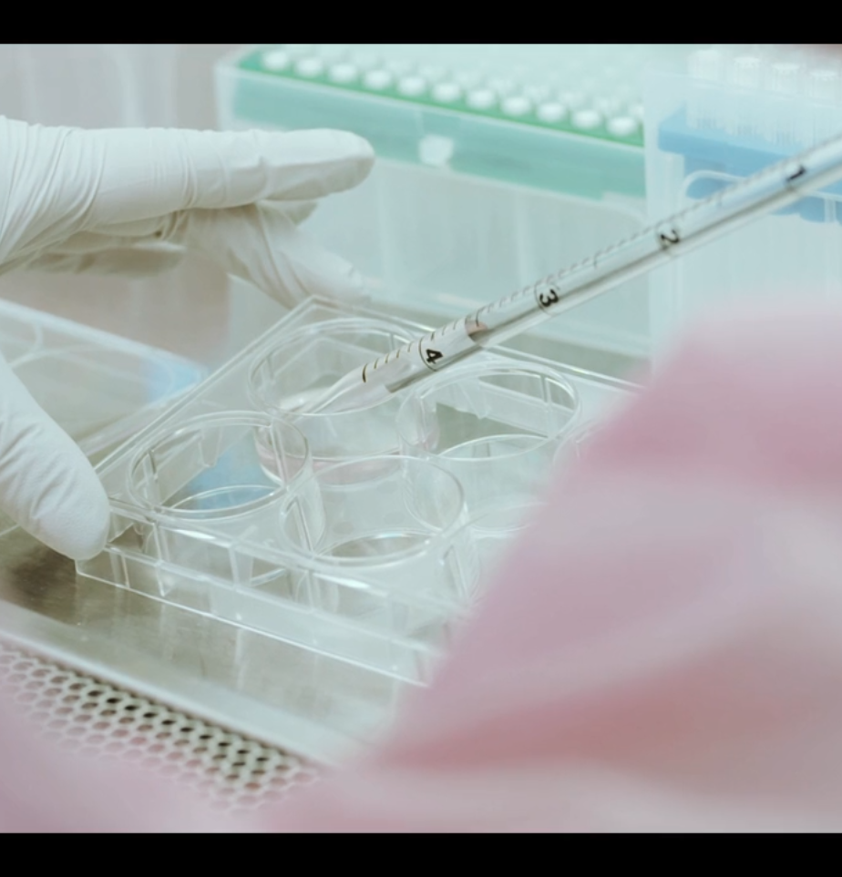 BioGen — Neuro Pioneers